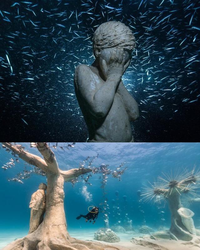 大型深海潜水探索活动，海底奇观等待勇者发现
