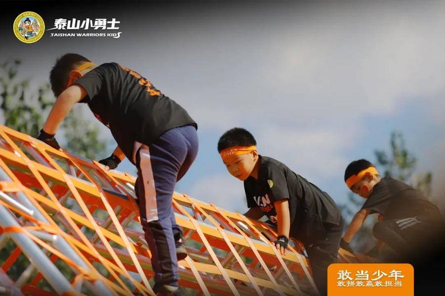 关于高空绳索障碍挑战，锻炼身体与意志力的信息
