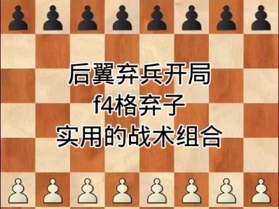 【比赛策略】顶尖运动员如何布局开局？战术从细节出发的简单介绍