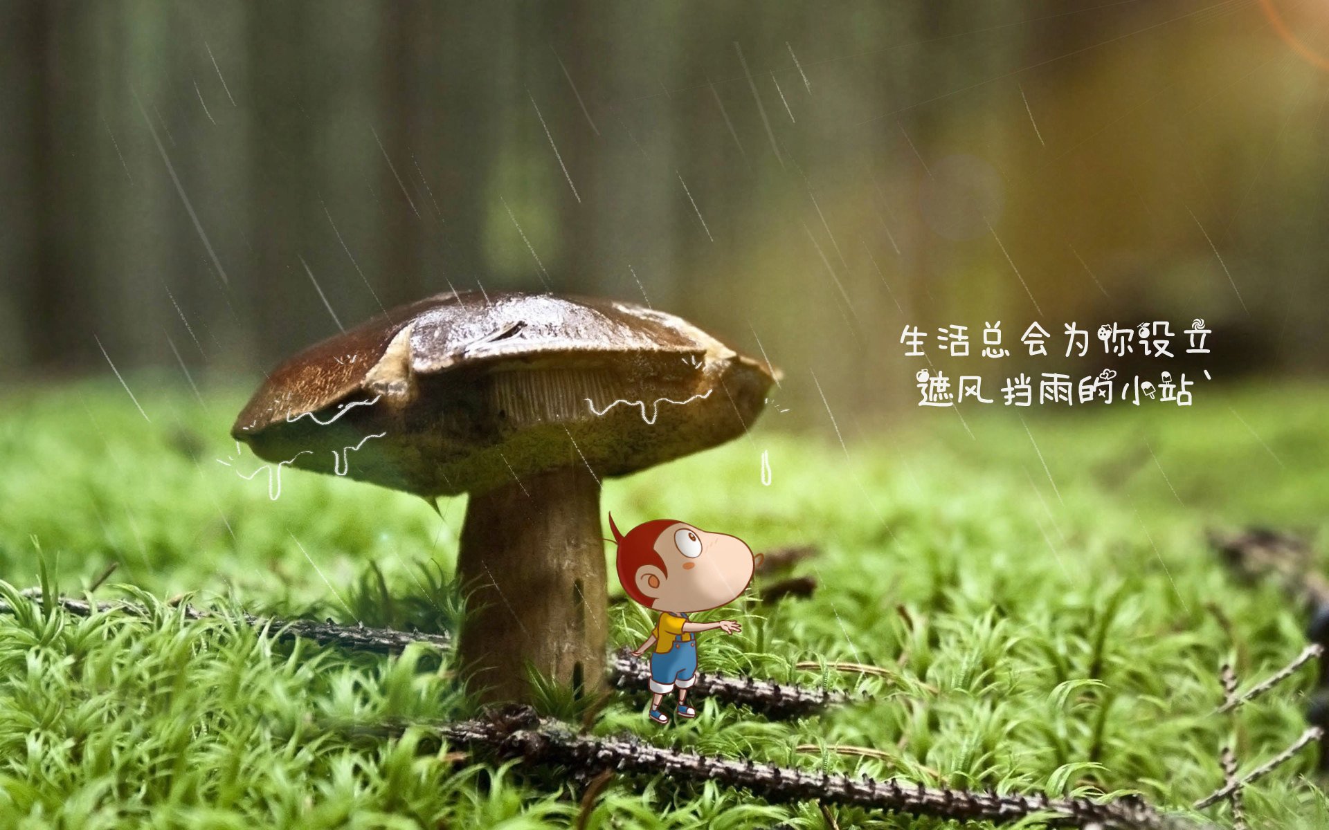 爱游戏体育平台-球迷“云投票”揭晓：最帅球员、最_主页_帅的队伍你支持谁？，最帅球星壁纸