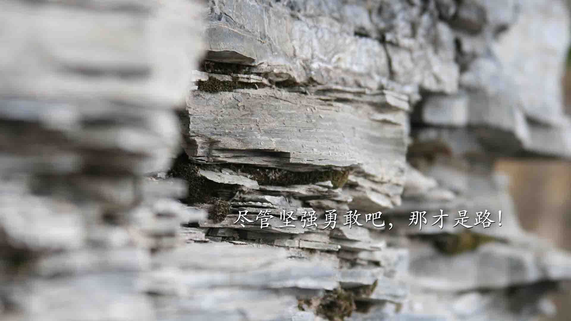 中国足协成立裁判学院，提升执法水平，中国足球协会裁判部