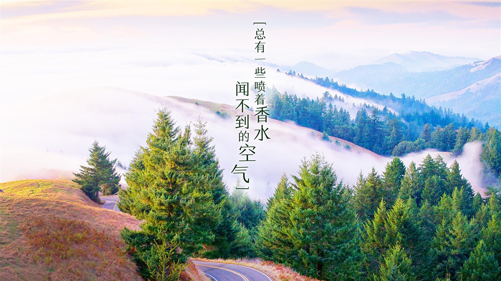 爱游戏官网-巴萨中场协作紧密，团队配合默契，巴萨中场球员