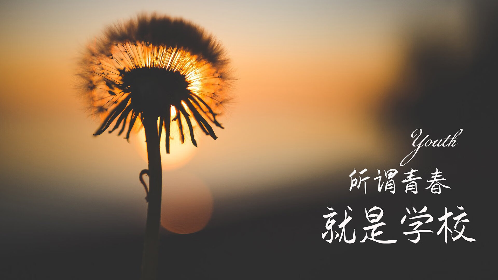 阿尔米尼亚比尔根踢出高水平比赛，取得关键胜利，足球米亚尔比