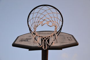 AIYOUXI.COM-NBA联盟与高校篮球合作开发机制研究，大学篮球联盟叫什么