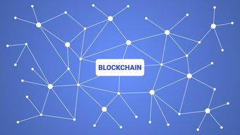 爱游戏体育（AYX）官方APP下载-英超青训采用虚拟现实技术强化战术理解与应变能力，英超试训