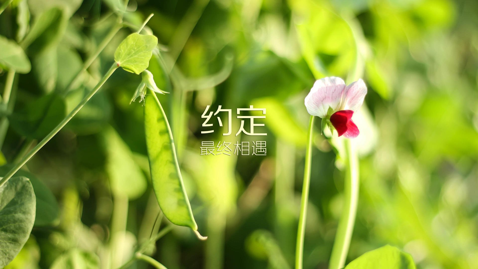 青少年体育培训质量提升，青少年体育培训的政策环境