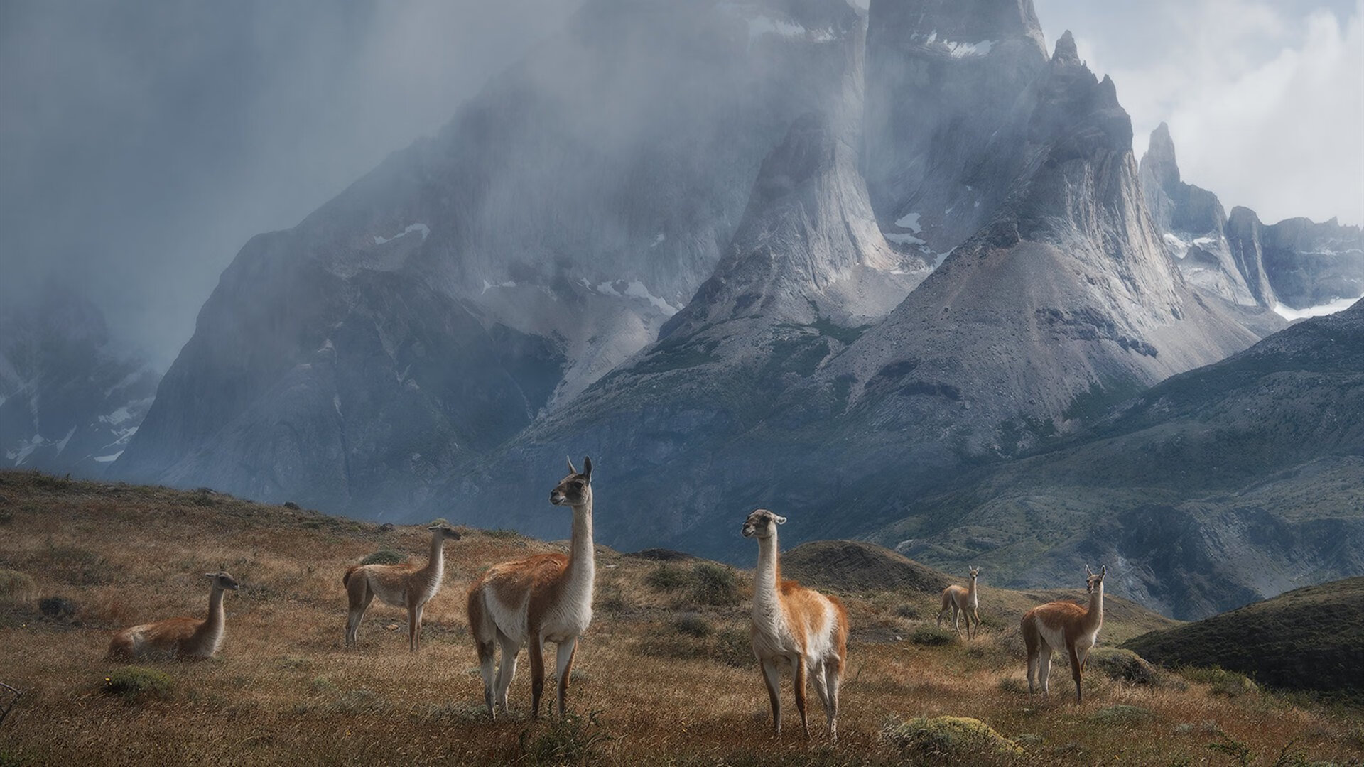 冬季运动装备展览会展示前沿科技，运动用品展览会