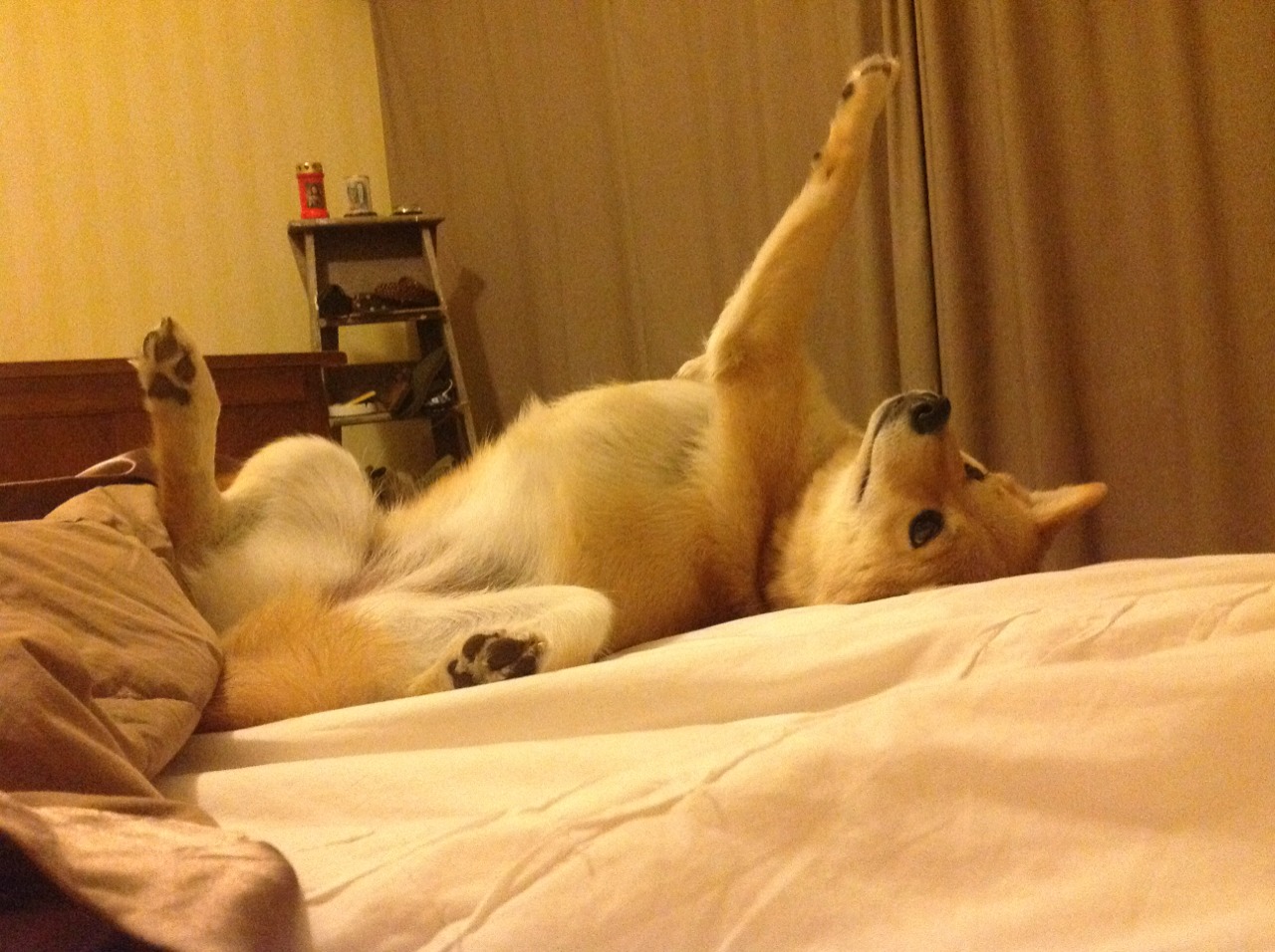 爱游戏在线登录入口-足球俱乐部青训体系不断完善，足球青训俱乐部规章制度