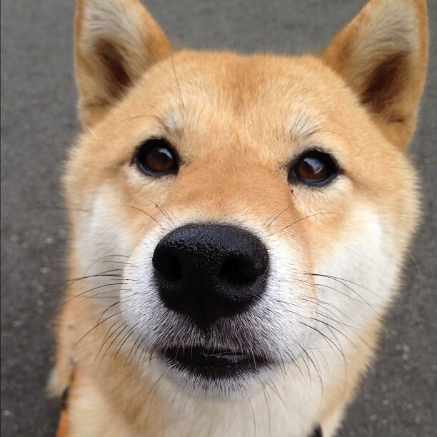 足球俱乐部青训体系不断完善，足球青训俱乐部规章制度