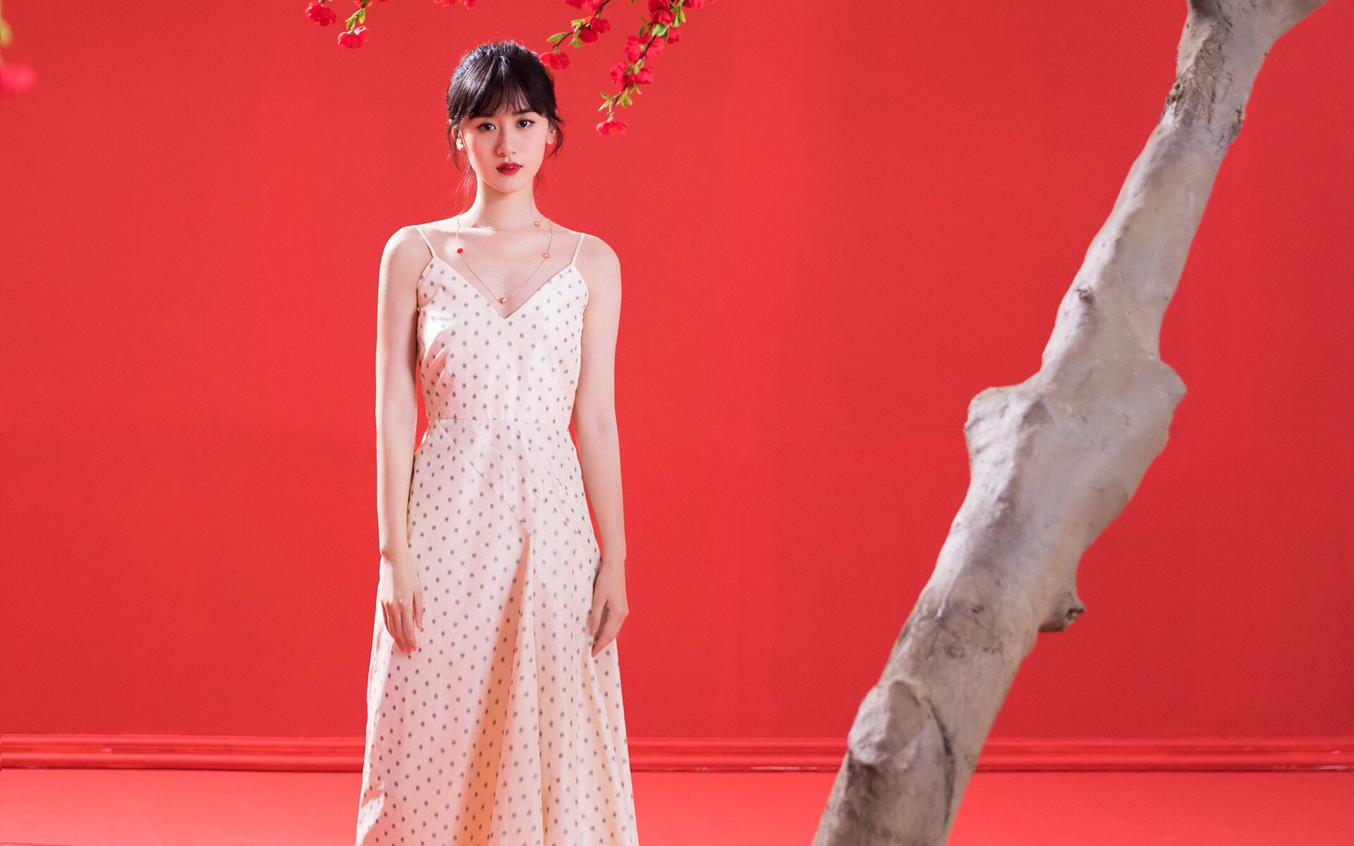 巴西男篮在拉丁美洲锦标赛中获胜，迈向奥运梦想，巴西男蓝名单