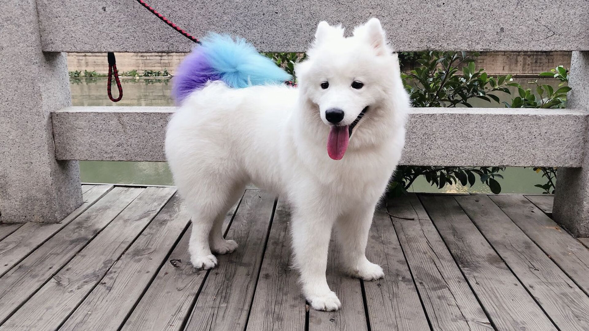 爱游戏娱乐平台-格鲁吉亚女篮在欧洲锦标赛中表现优异，勇登国际舞台，格鲁吉亚参加过欧洲杯吗