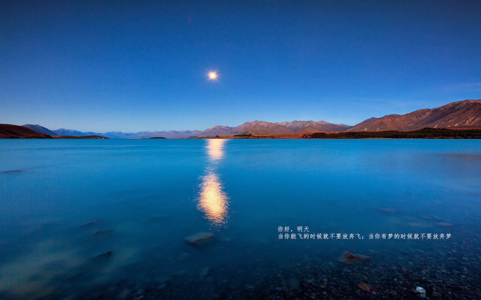 法甲伤兵满营:逆境中依然奋勇拼搏,法甲暴力