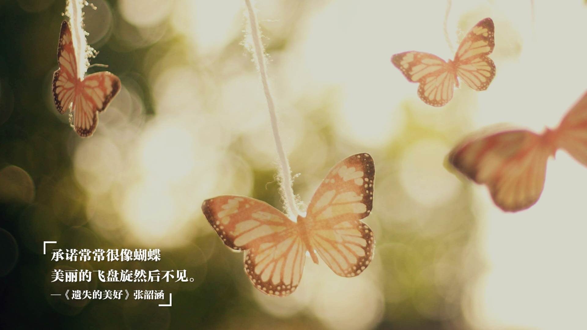 独行侠主帅称赞替补席对比赛影响明显，独行侠替补中锋