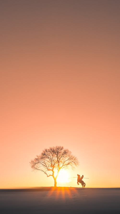 电竞战术分析平台进入高校课堂,电竞 分析