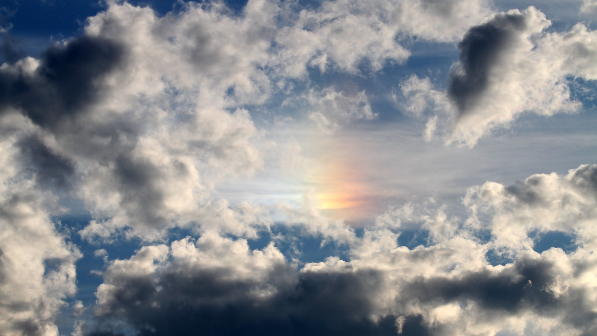 蛙泳划频控制精准度显著提升，蛙泳划水频率越低越好吗