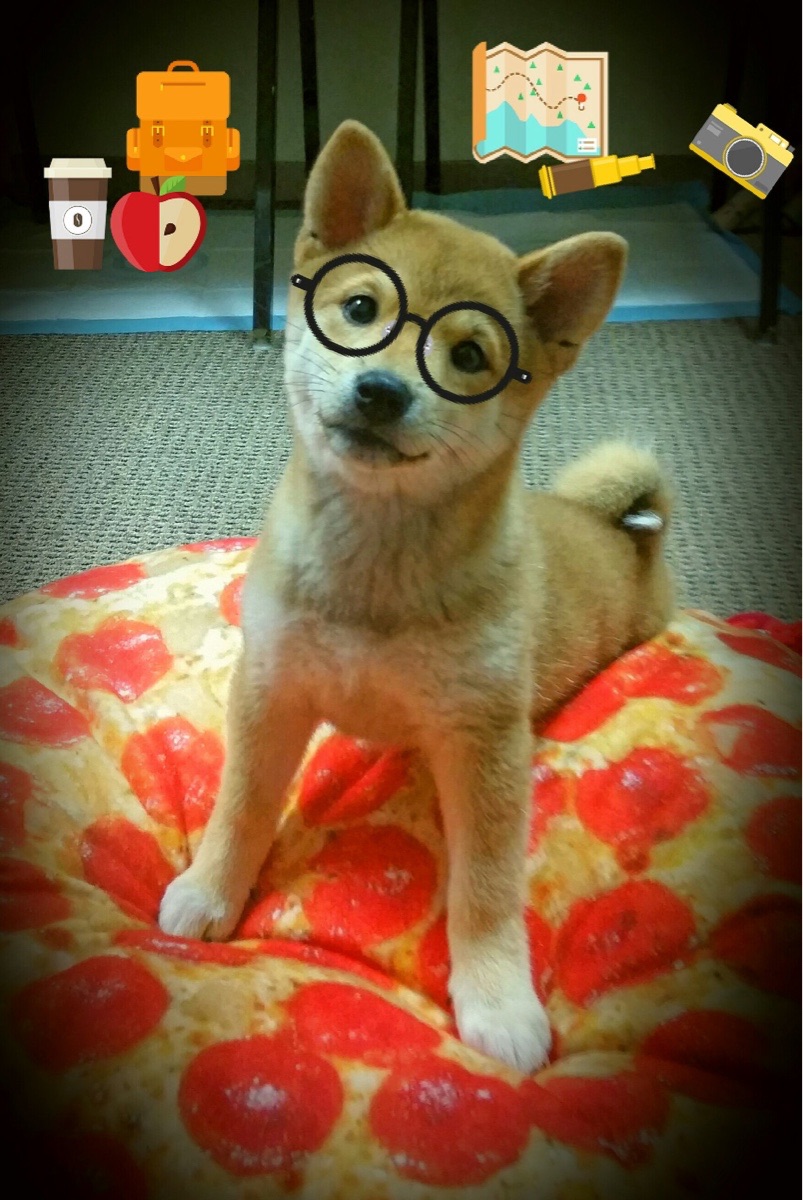 AYX体育官网-西亚卡姆掌控节奏猛龙执行力提升，西亚卡姆能成为巨星吗