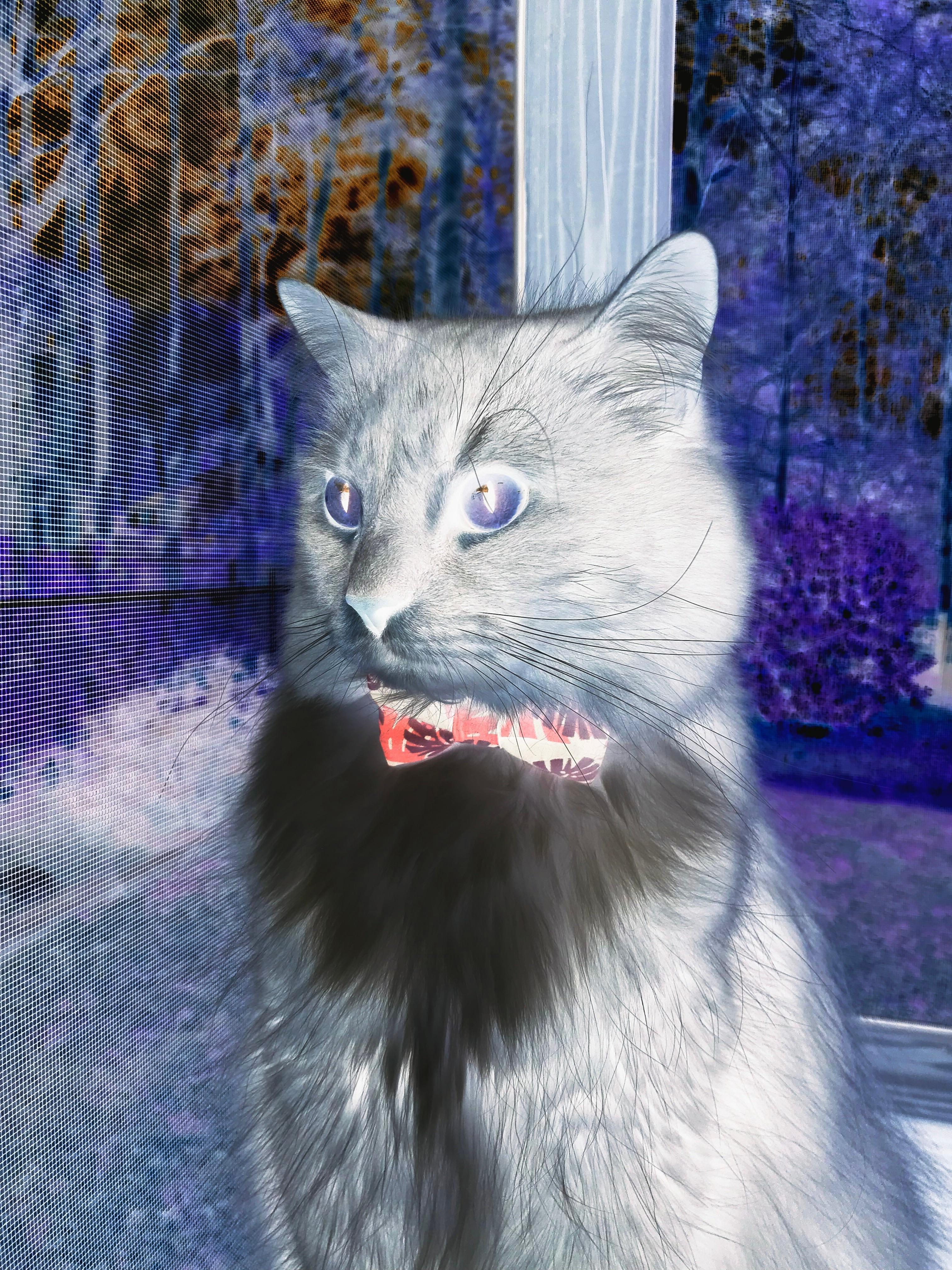 足球裁判引入VR模拟训练，执法水平显著提升，足球vr裁判是什么意思