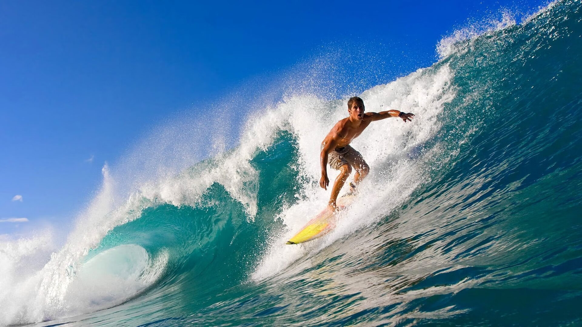 球迷投票:你认为本赛季最值得关注的明星,知名球迷